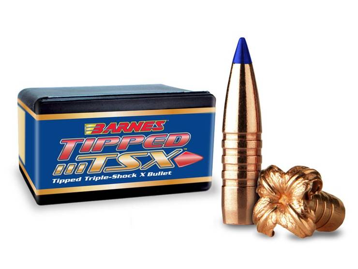 Barnes TTSX 165gr .30cal